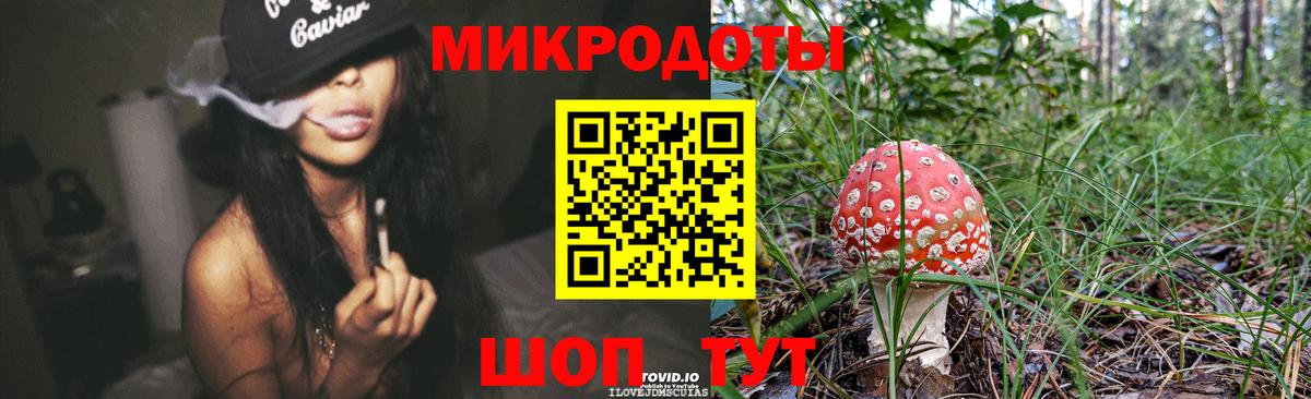 Северск  Псилоцибиновые грибы MAGIC MUSHROOMS  Вход с VPN 