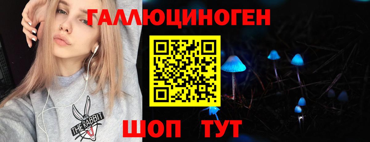 Псилоцибиновые грибы Cubensis Северск